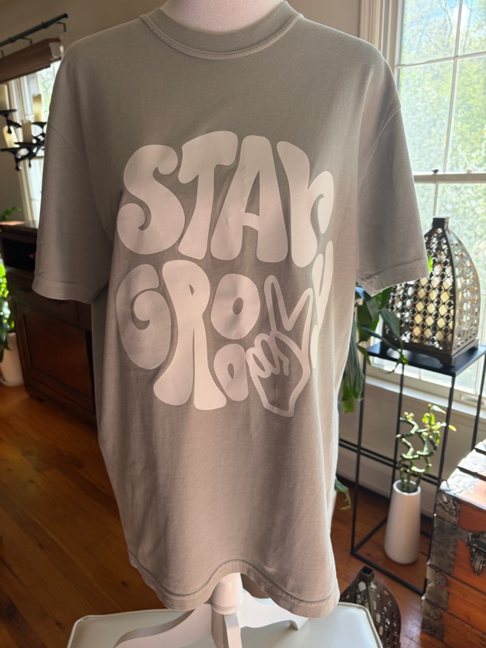 Comfort Colors Sage Green SOFT Crewneck Boxy Tee — Comfort Colors